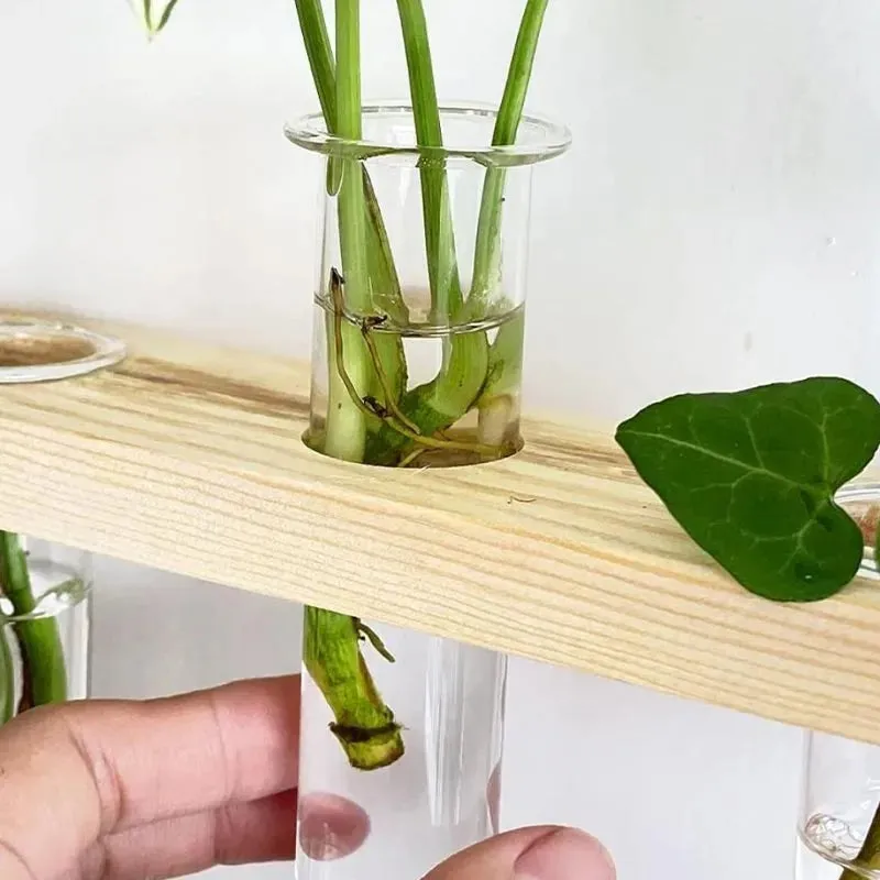 1 Tier Wall Hanging  With 5 Test Tube Planters