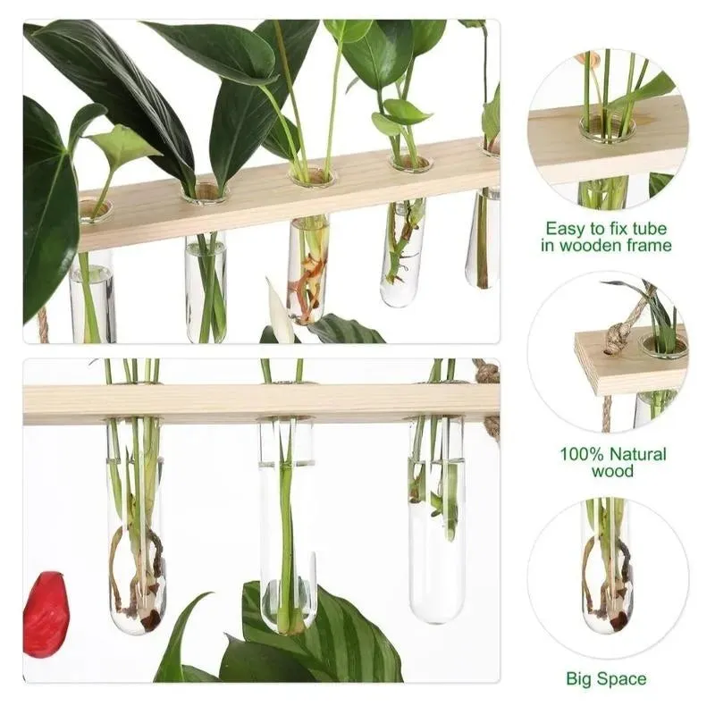 1 Tier Wall Hanging  With 5 Test Tube Planters