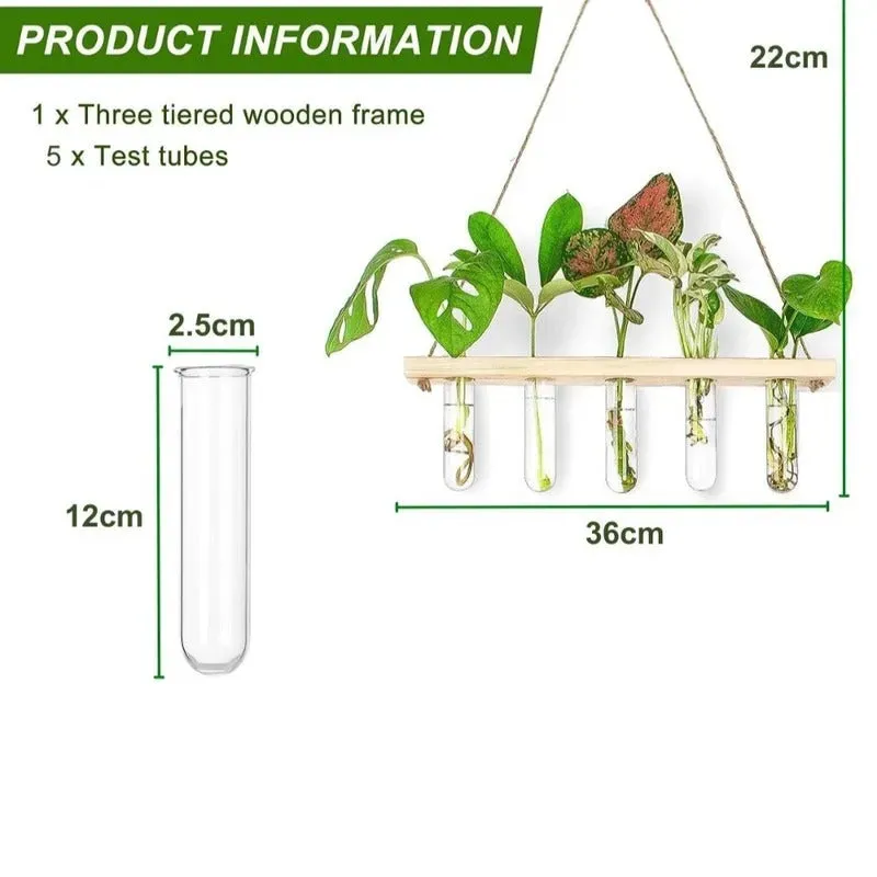 1 Tier Wall Hanging  With 5 Test Tube Planters