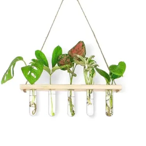 1 Tier Wall Hanging  With 5 Test Tube Planters