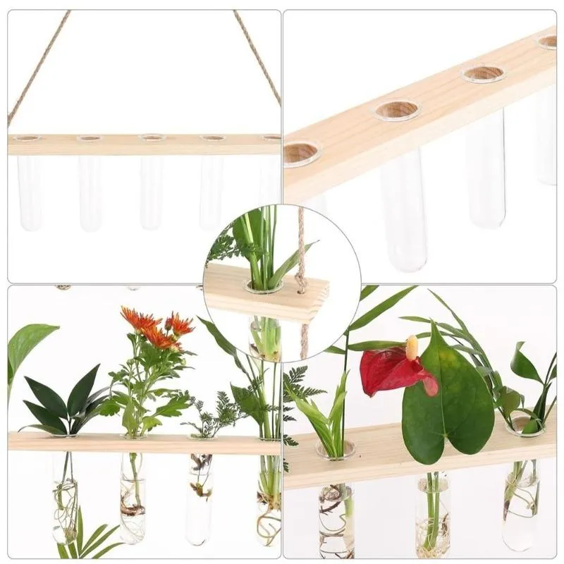 1 Tier Wall Hanging  With 5 Test Tube Planters