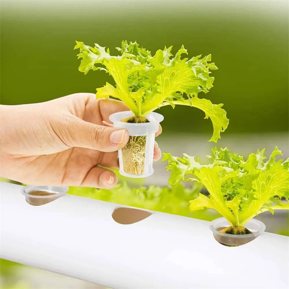 108 Plant Sites Hydroponic Grow Tool Kit | Vegetable Garden Hydroponic Grow System | With Wheels