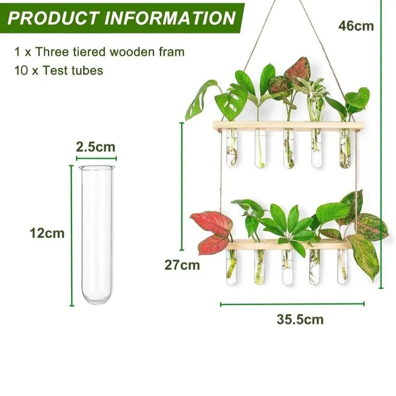 2 Tier Wall Hanging With 10 Test Tube Planters