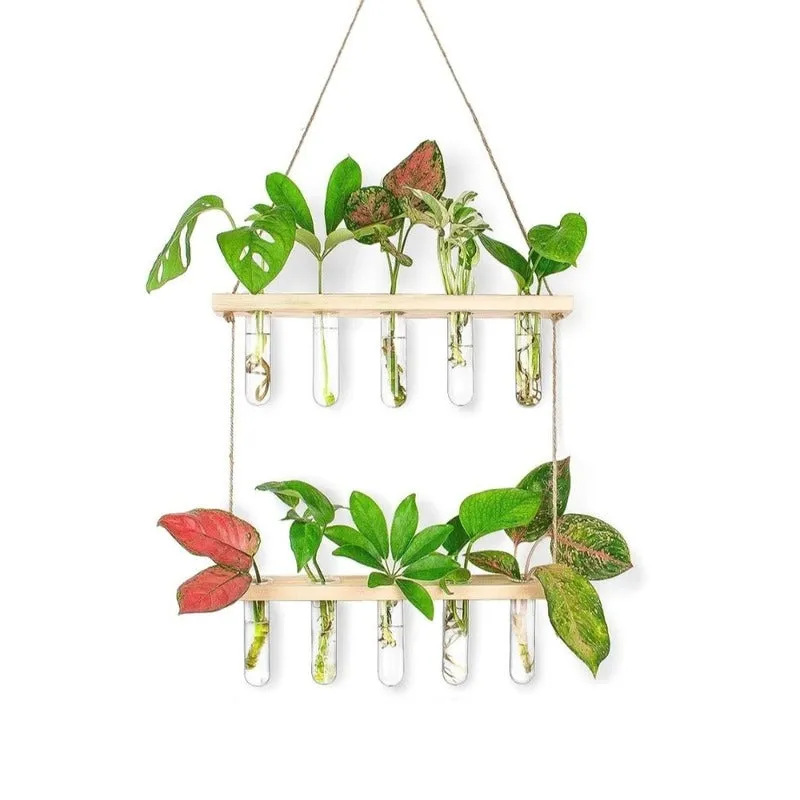2 Tier Wall Hanging With 10 Test Tube Planters