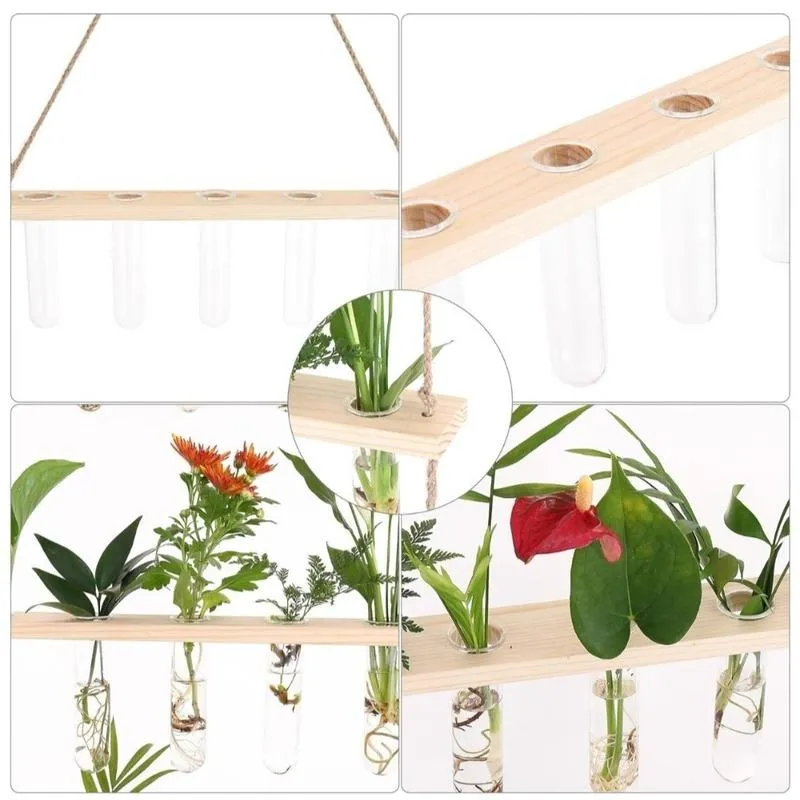 2 Tier Wall Hanging With 10 Test Tube Planters