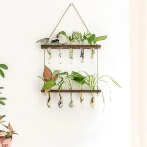 2 Tier Wall Hanging With 10 Test Tube Planters