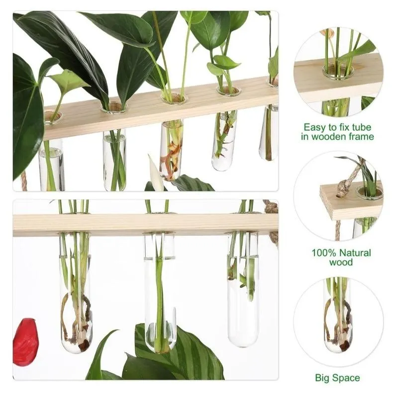 2 Tier Wall Hanging With 10 Test Tube Planters