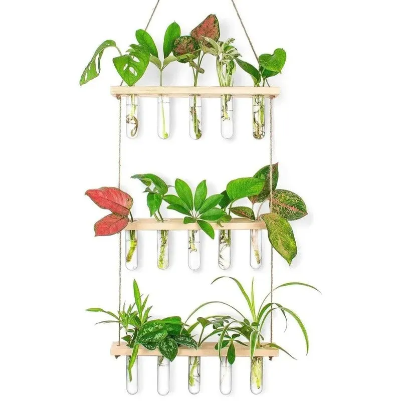 3 Tier Wall Hanging With 15 Test Tube Planters
