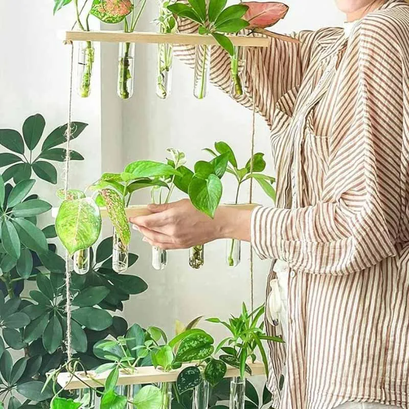 3 Tier Wall Hanging With 15 Test Tube Planters