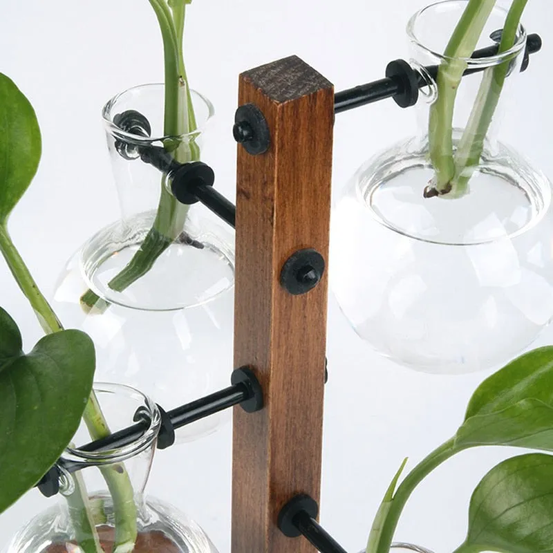 4 Bulbs Propagation Station