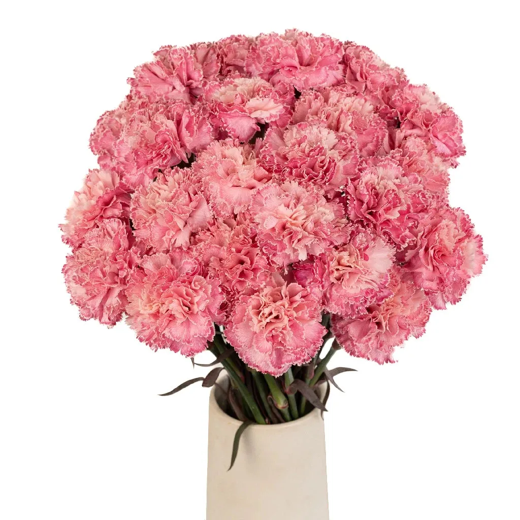 Baby Shower Pink Carnation Flowers