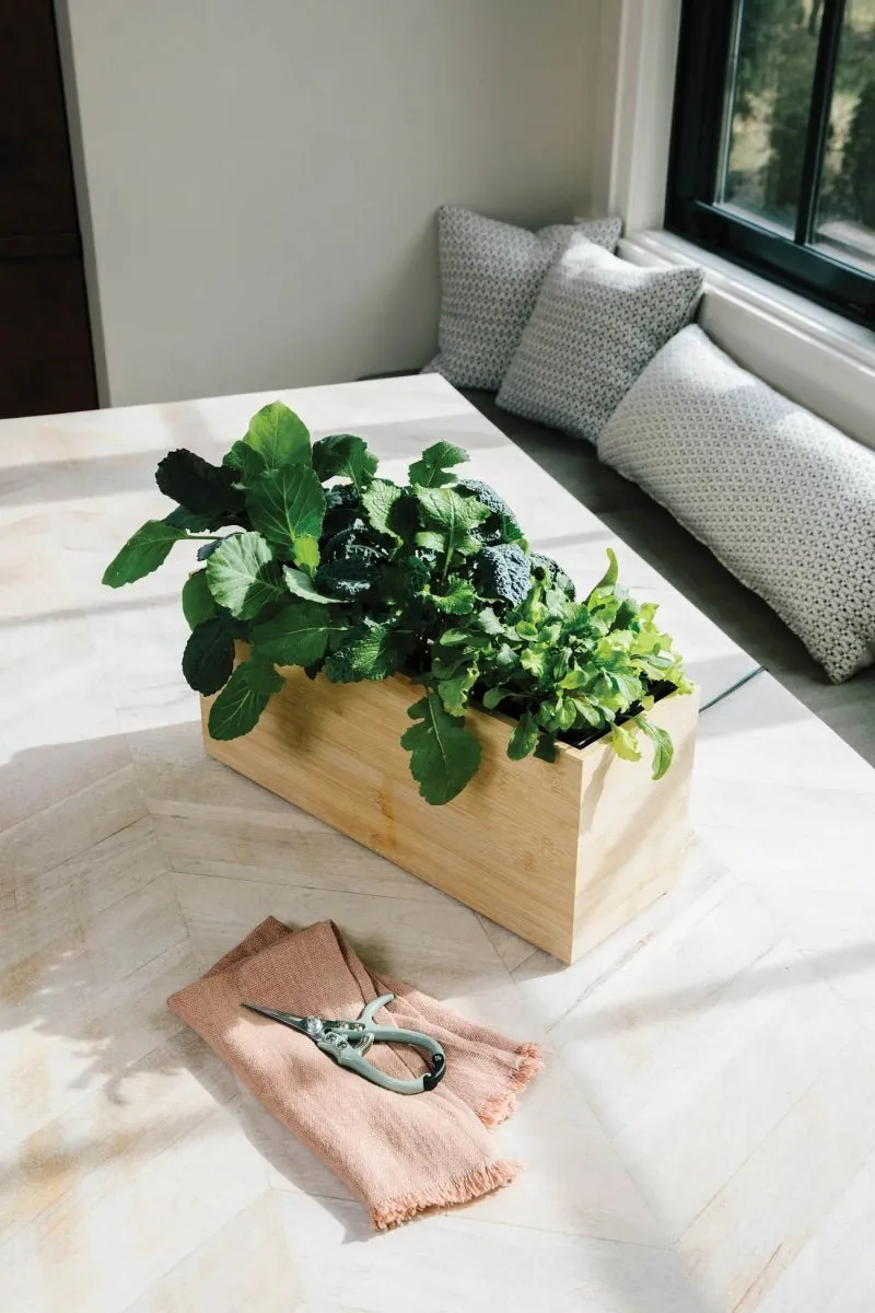 Bamboo Smart Hydroplanter