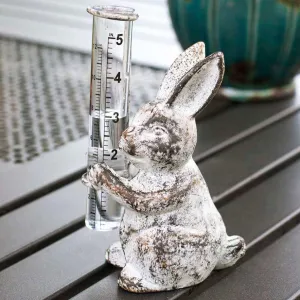 Bunny Rain Guage
