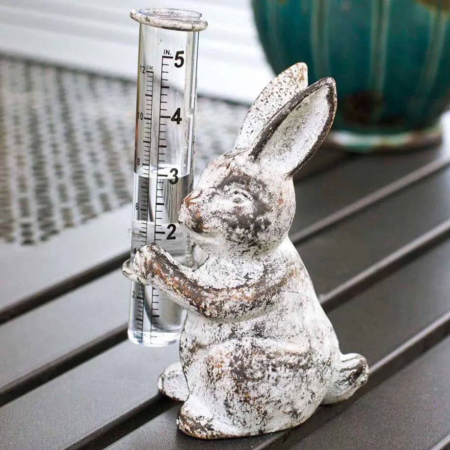 Bunny Rain Guage