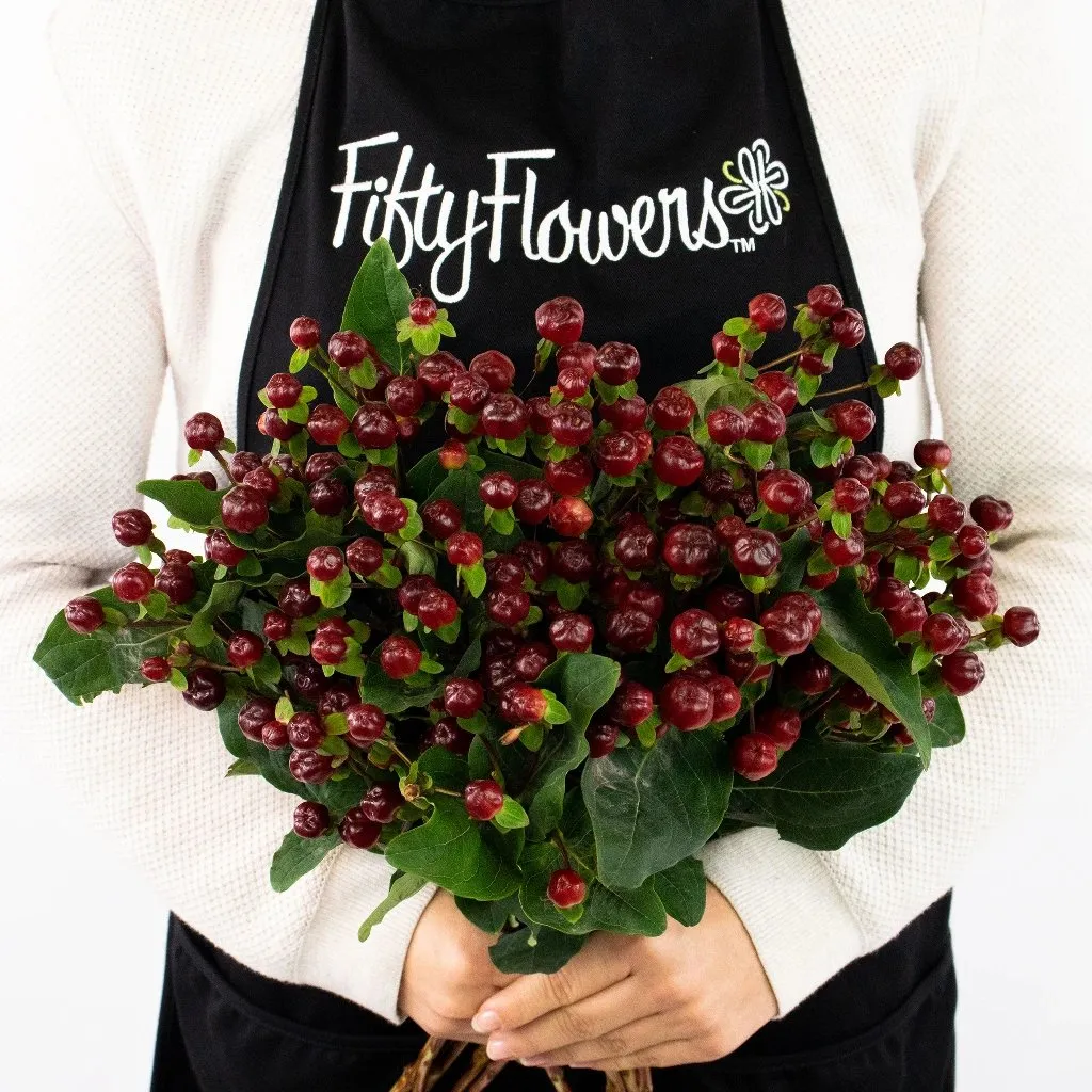 Burgundy Designer Hypericum Berries