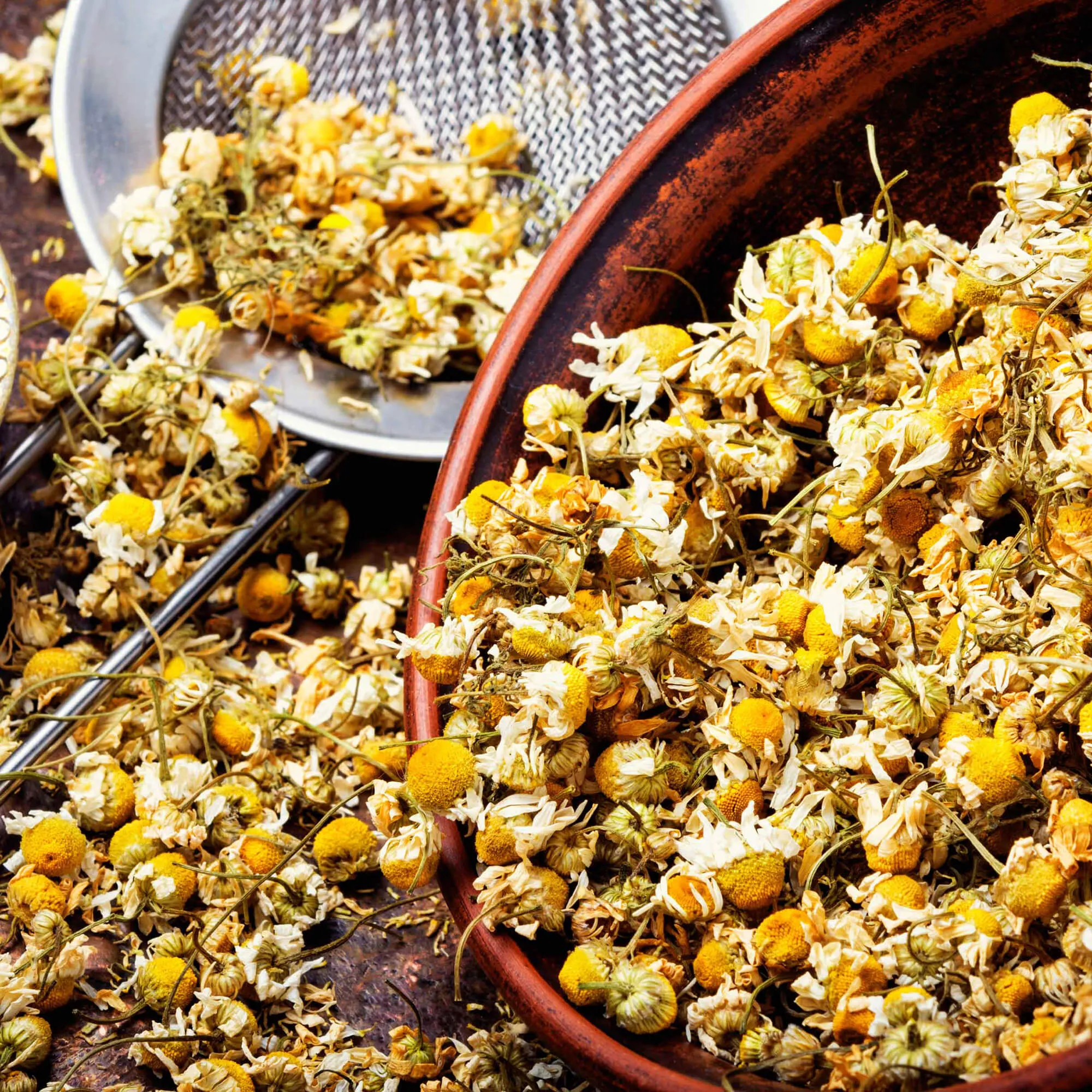 Camomile Herbal Infusion Tea