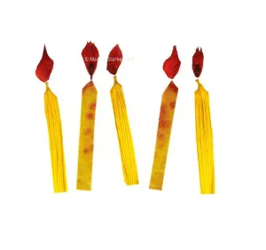 CANDLES CARD
