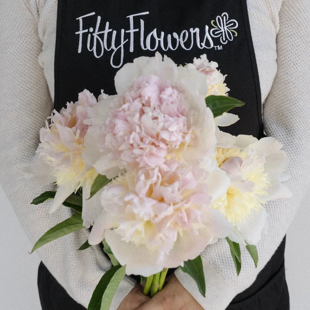 Cherry Blossom Peonies for June Delivery