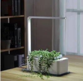 Clean And Beautiful Soilless Culture Hydroponic Self-Absorbent Herb Vegetable Planting Box Trough Cute Flower Pot Set