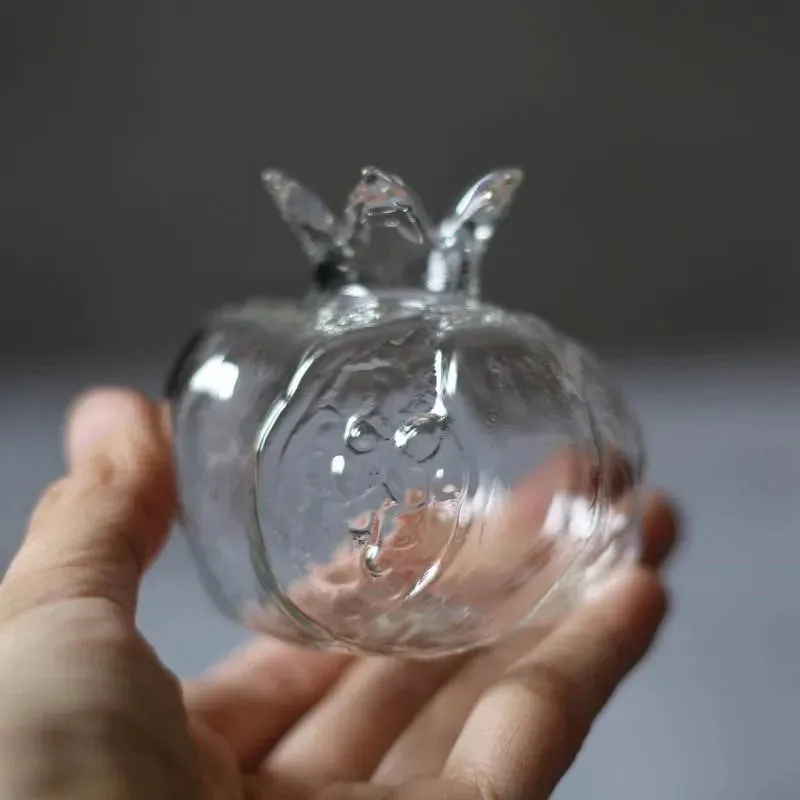 Clear Glass Hydroponic Vase