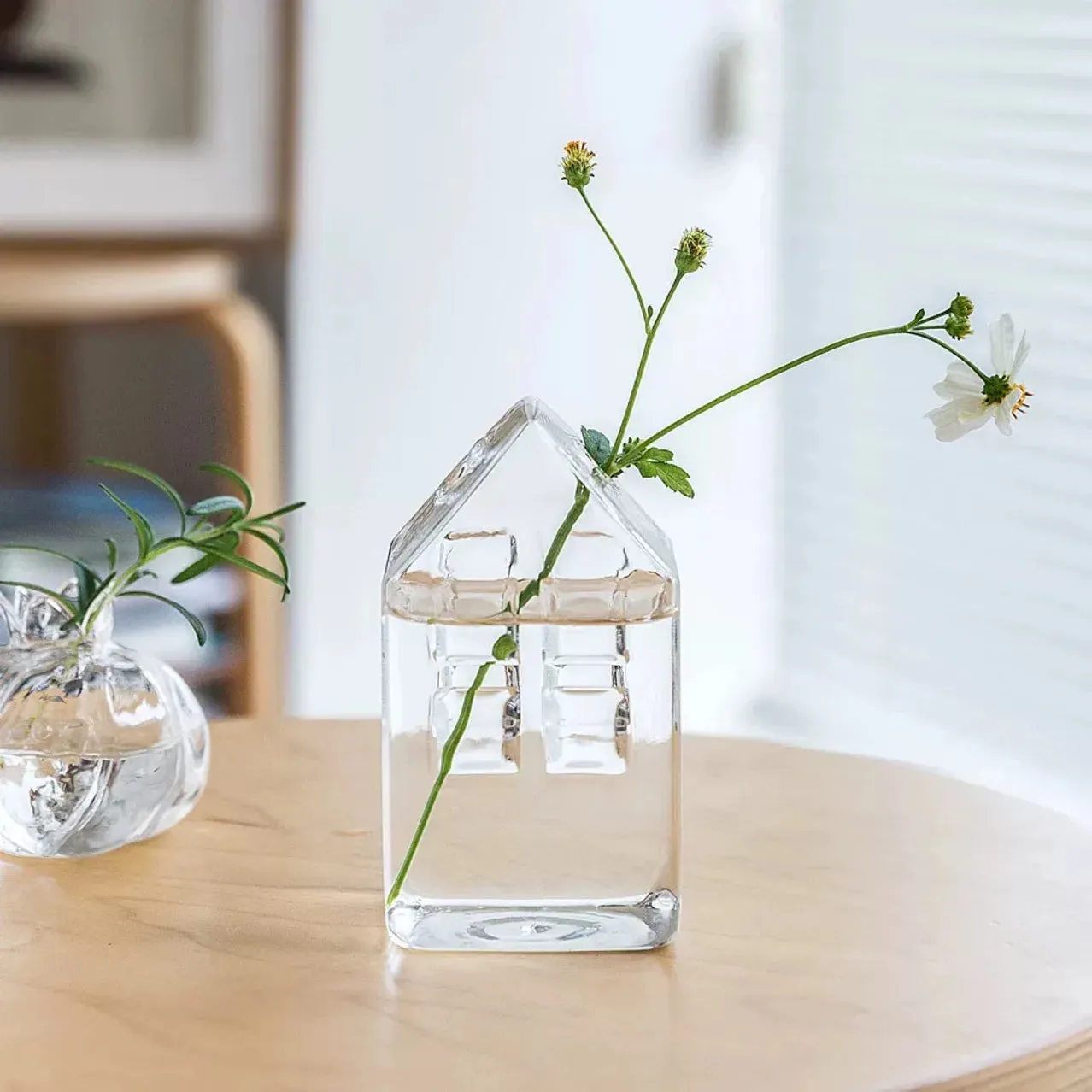 Clear Glass Hydroponic Vase