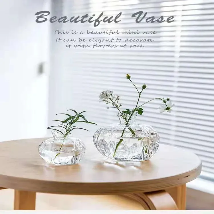 Clear Glass Hydroponic Vase
