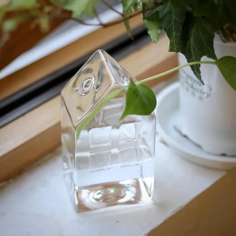 Clear Glass Hydroponic Vase