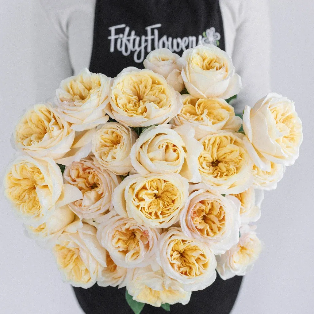 Cream Juliet Garden Rose