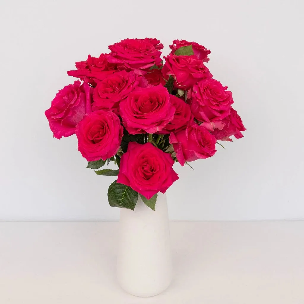 Dark Pink Hot Shot Rose