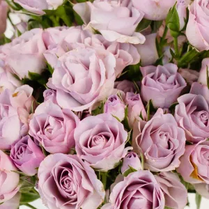 Delicate Lavender Spray Garden Rose