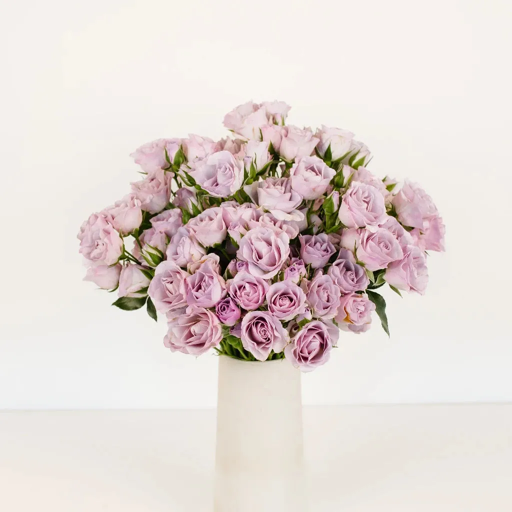 Delicate Lavender Spray Garden Rose