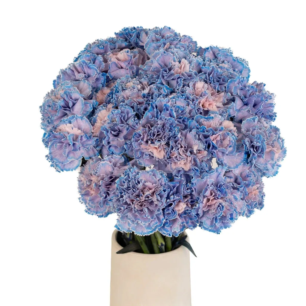 Dusty Blue Wedding Carnation Flowers