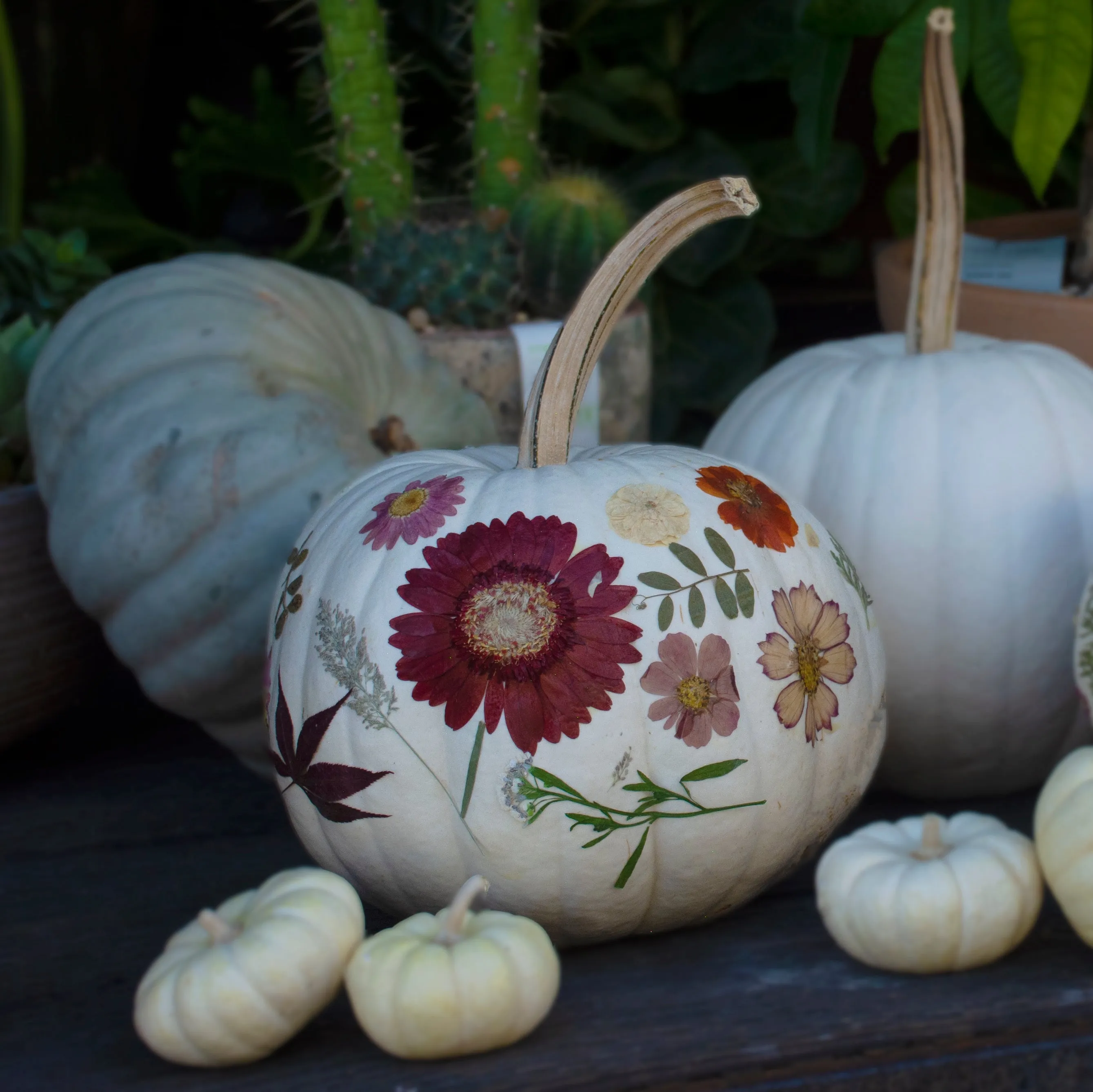 Fantasy Pumpkins