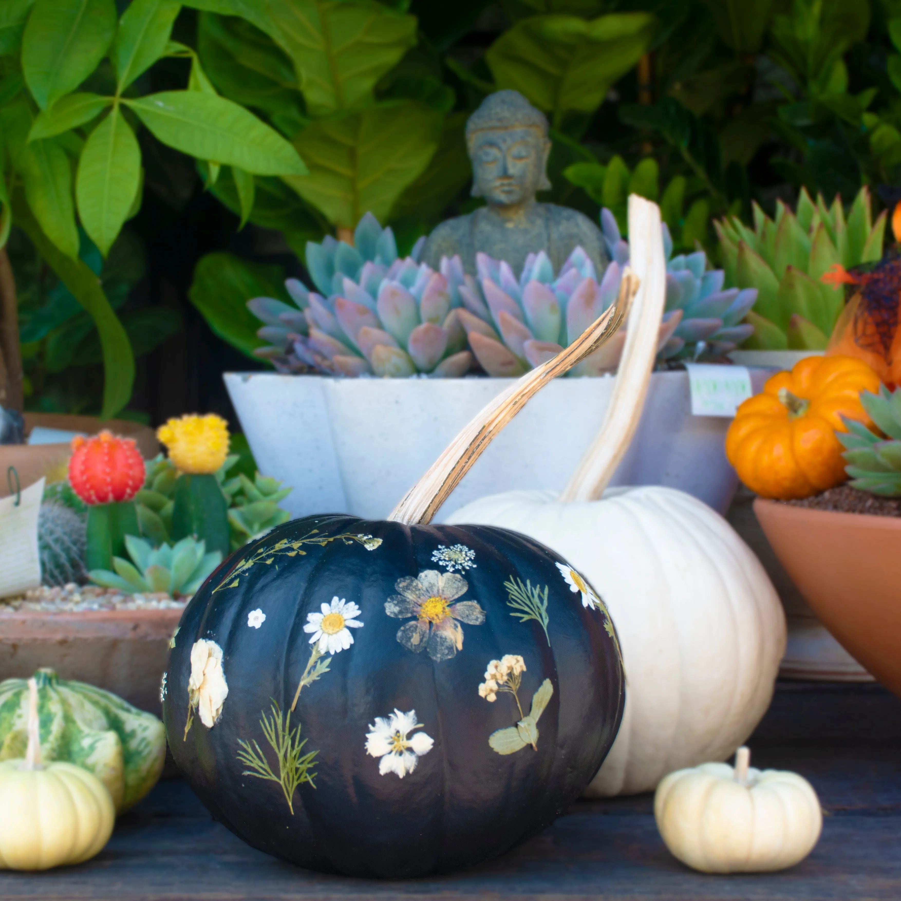 Fantasy Pumpkins