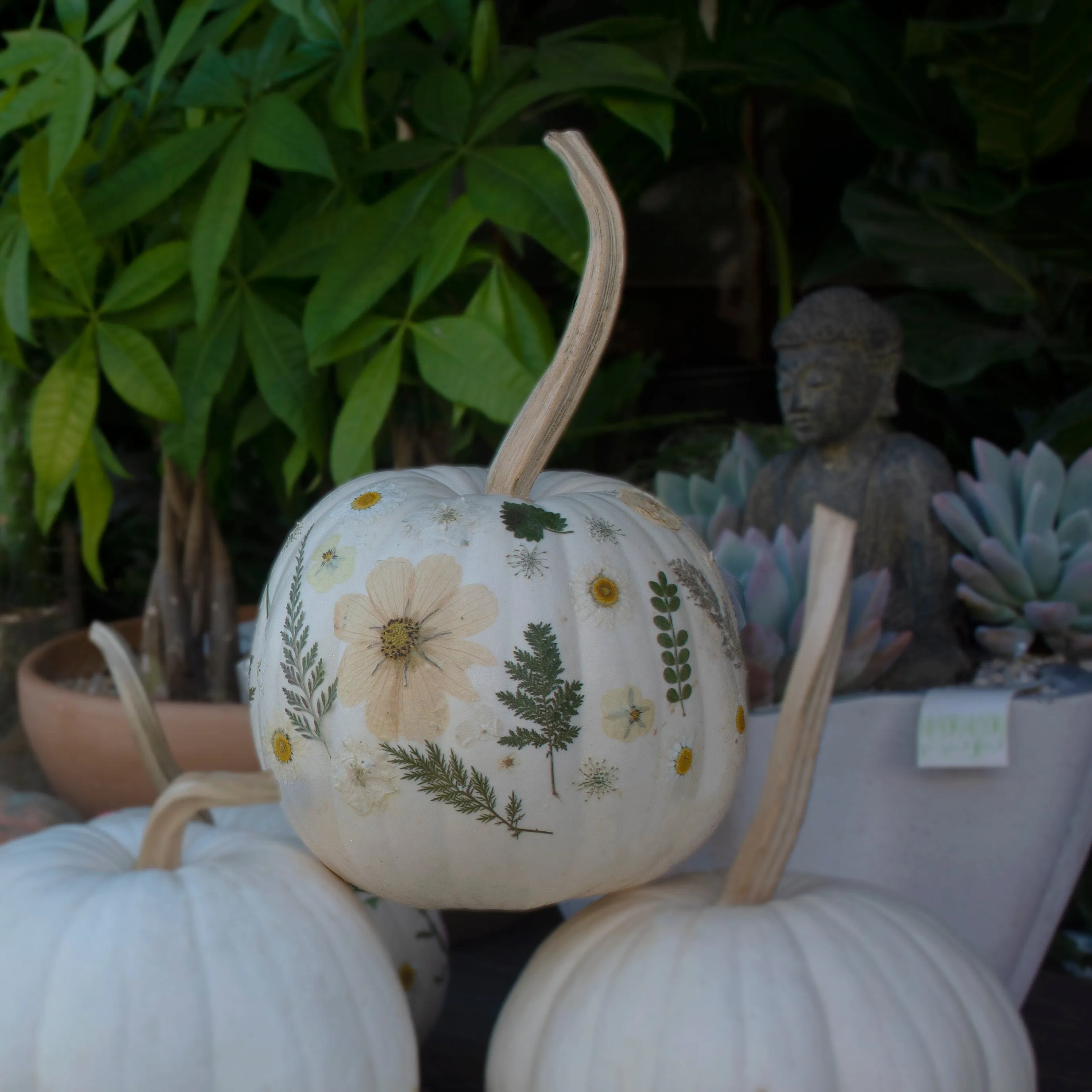 Fantasy Pumpkins