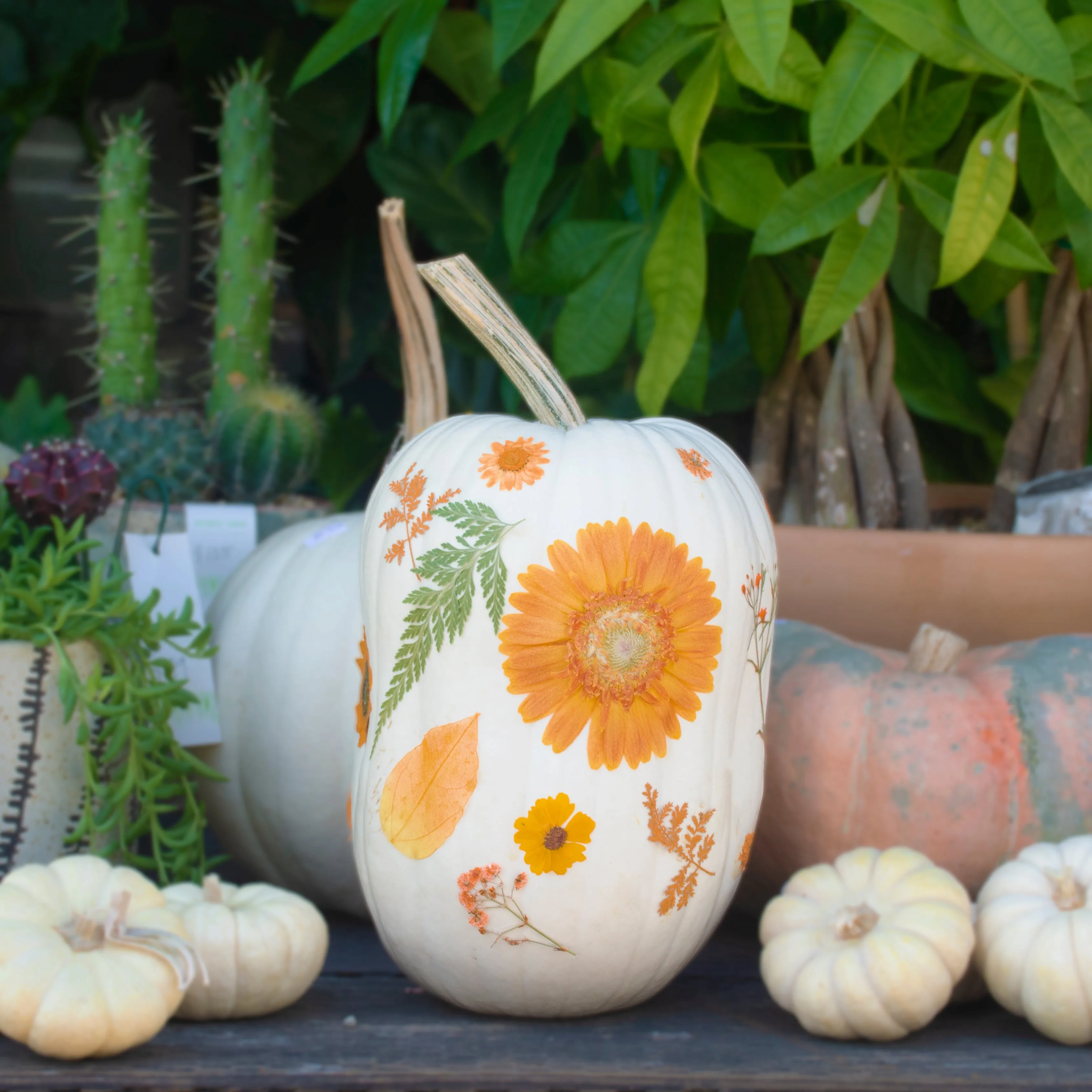 Fantasy Pumpkins