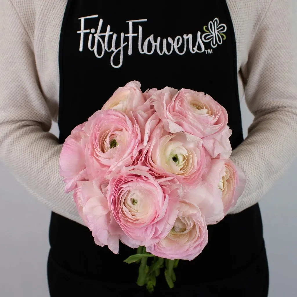 Favola Cloony Ranunculus