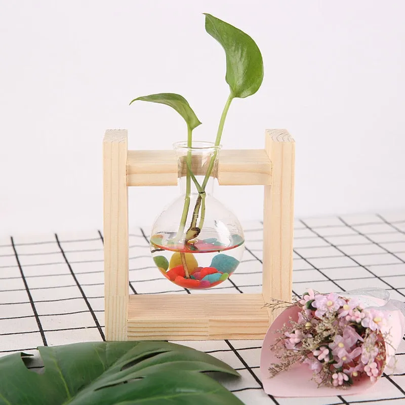 Heart shape propagation station