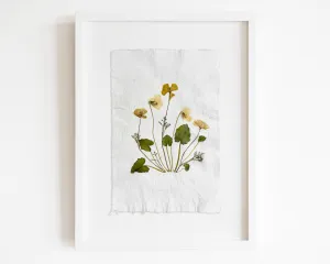 Herbarium II Yellow poppies and white violets pressed flower Green plant Recycled paper for living room wall art UNFRAMED