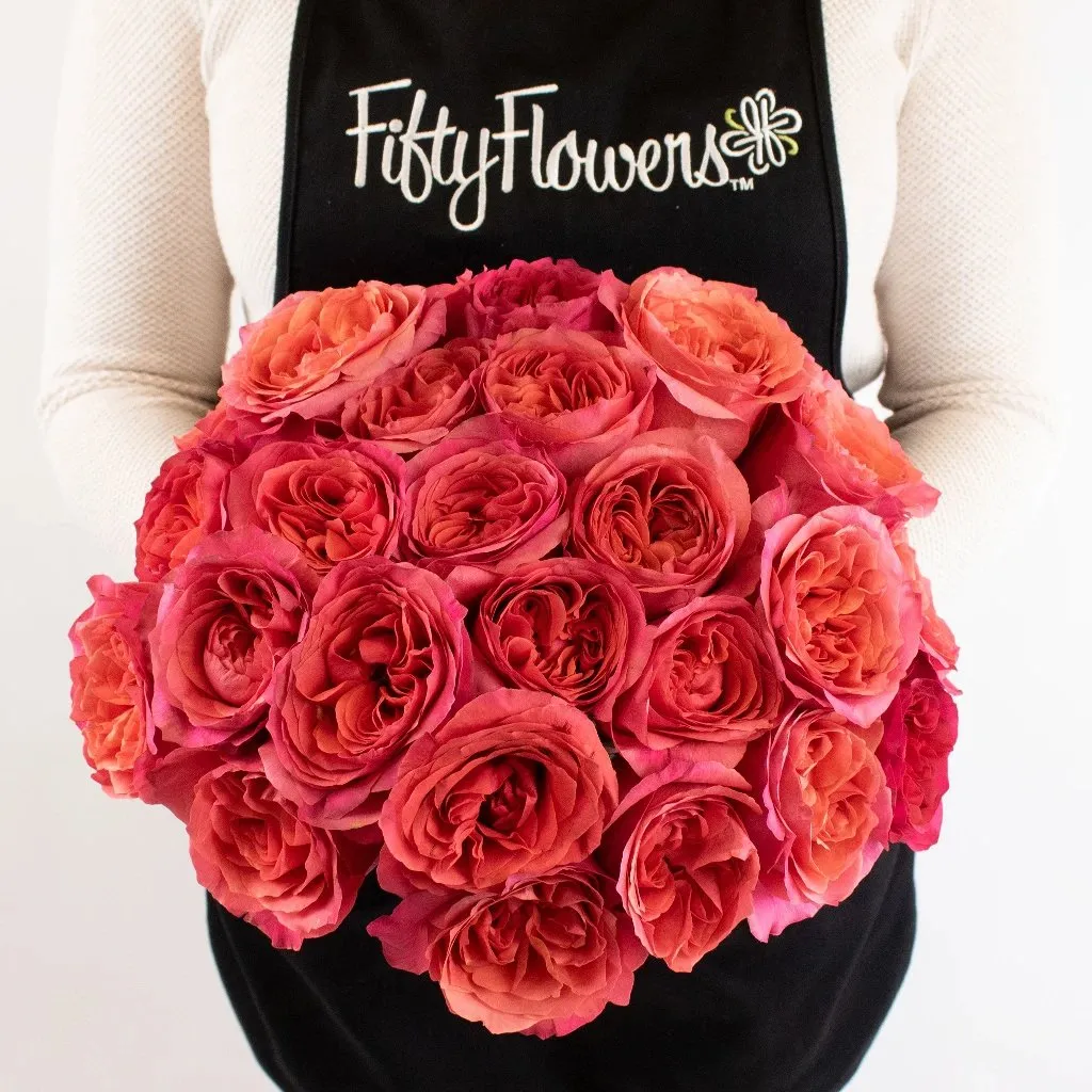 Hot Pink Garden Rose