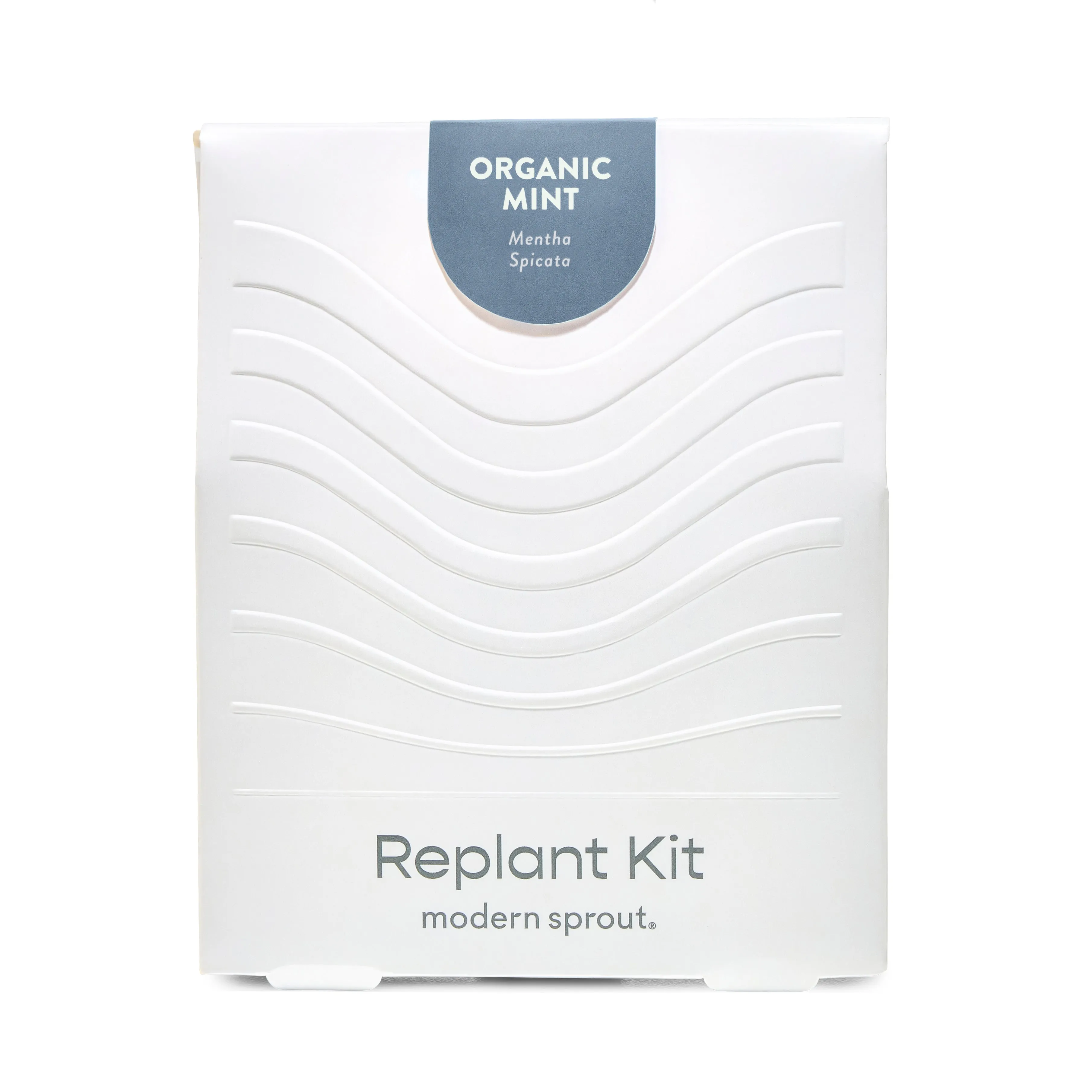 Immersion Hydroponic Replant Kit