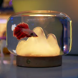 Living Room And Office Mini Desktop Micro Landscape Betta Fish Tank