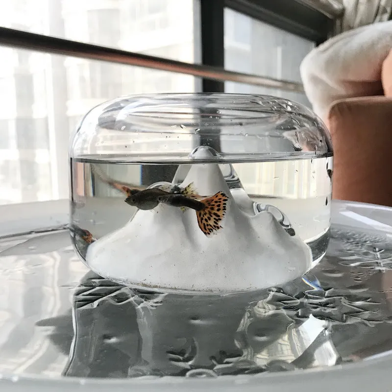 Living Room And Office Mini Desktop Micro Landscape Betta Fish Tank