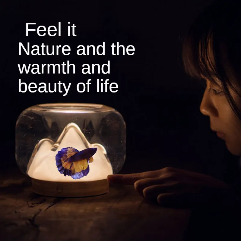 Living Room And Office Mini Desktop Micro Landscape Betta Fish Tank