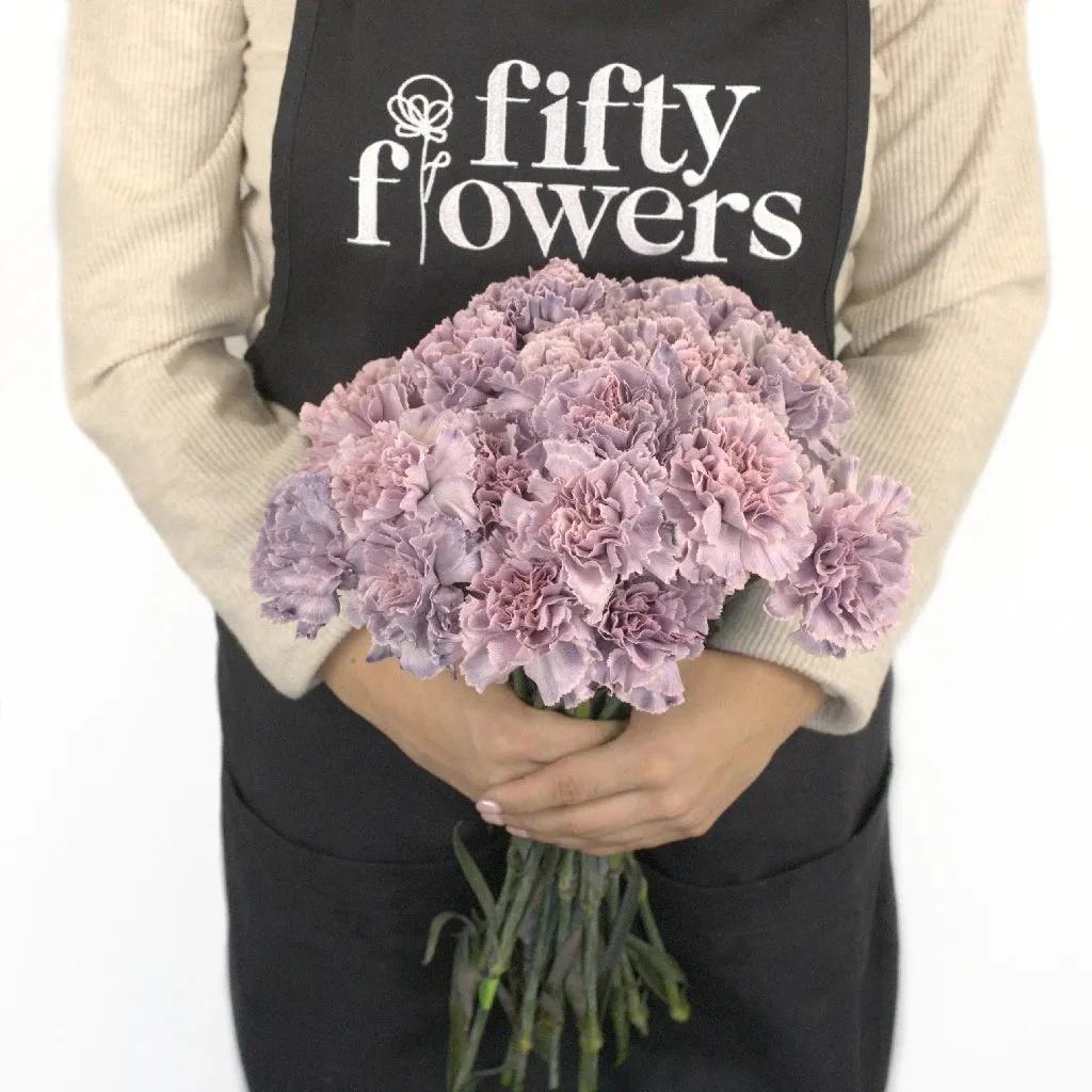 Midsummer Dream Purple Carnation Flowers