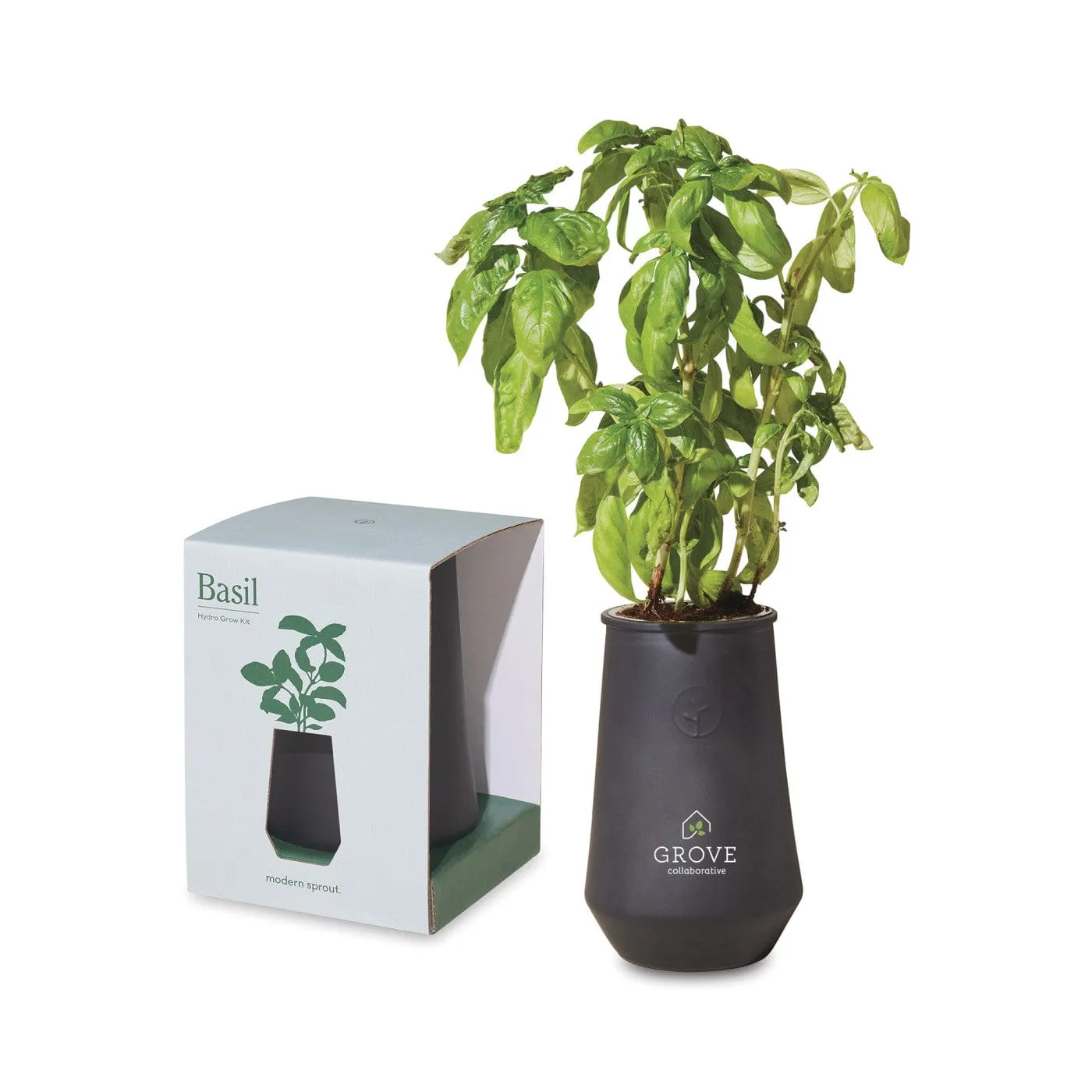 Modern Sprout - Tapered Tumbler Grow Kit