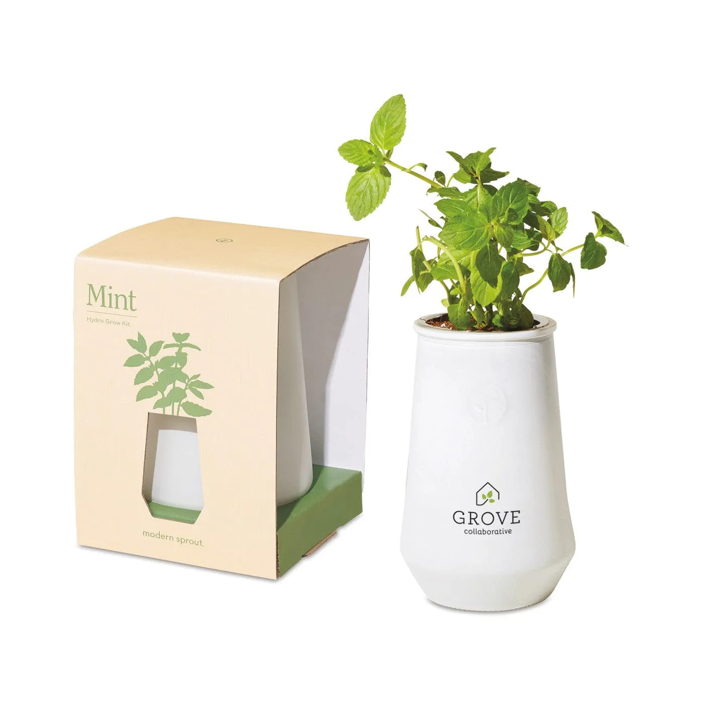 Modern Sprout - Tapered Tumbler Grow Kit