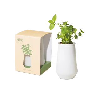 Modern Sprout Tapered Tumbler Grow Kit