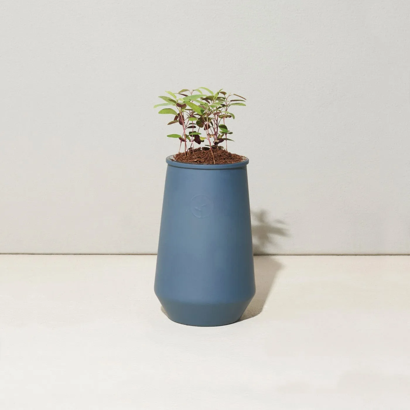 Modern Sprout Tapered Tumbler Grow Kit