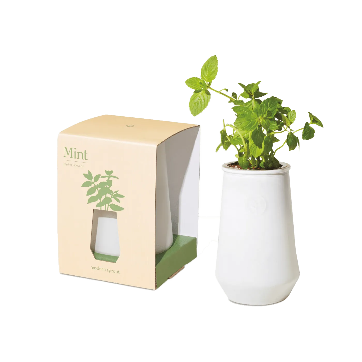Modern Sprout Tapered Tumbler Grow Kit